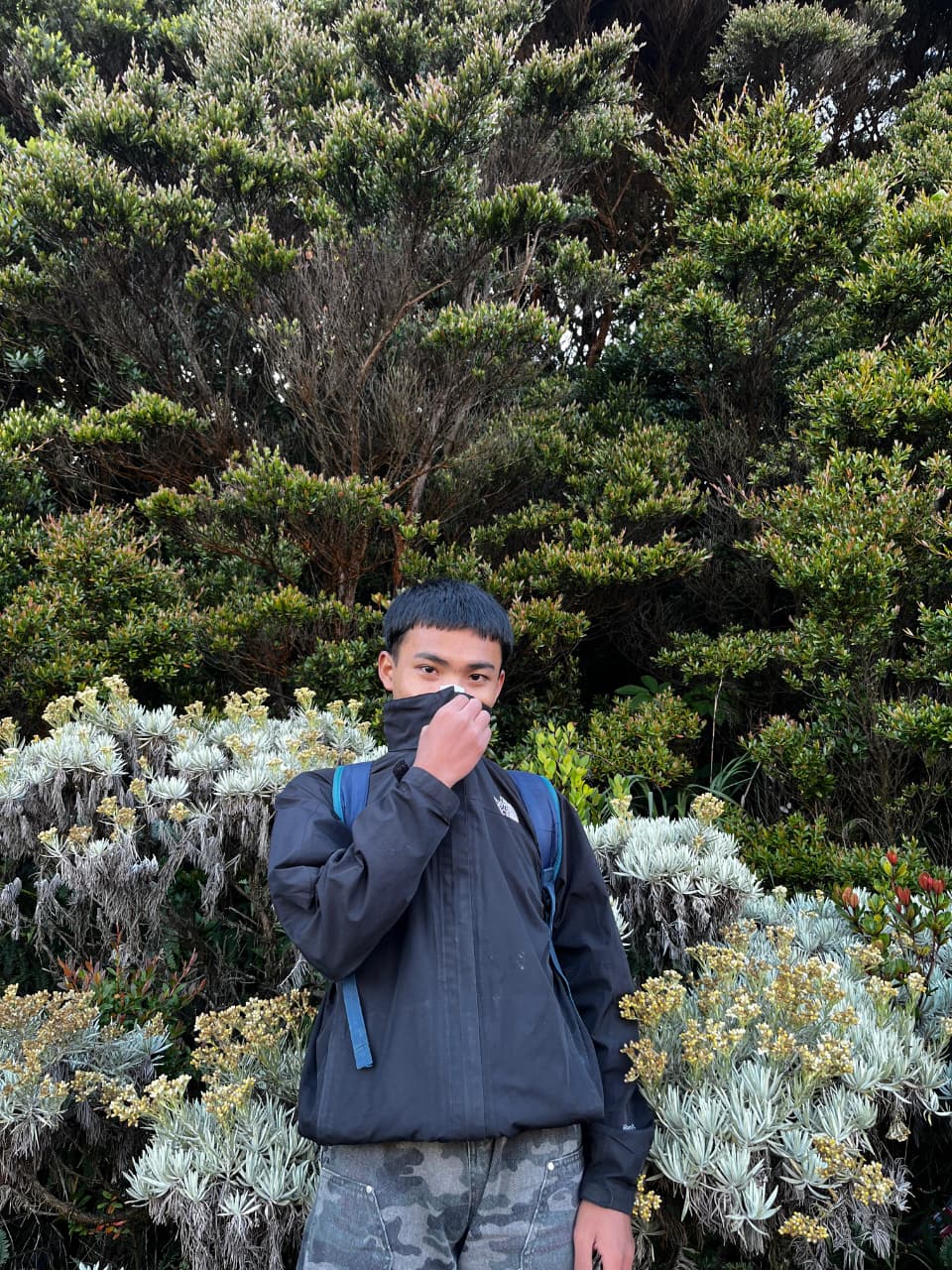 Anggota